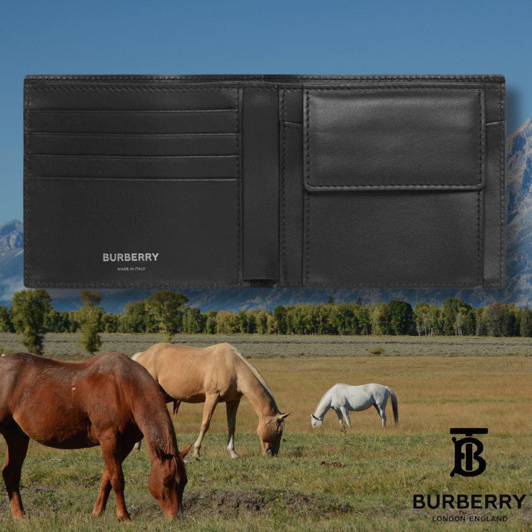 Cartera Burberry 🐎 | 100% Original™️